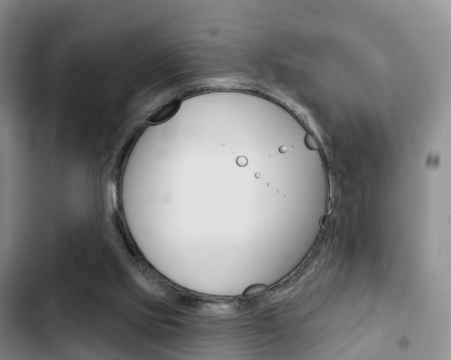 X0000102770061200808181004