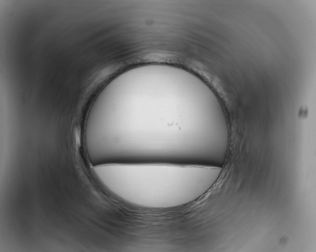 X0000102770062200808181004