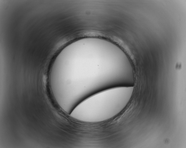 X0000102770063200808181004