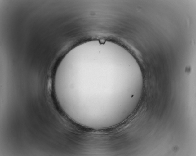 X0000102770067200808181004