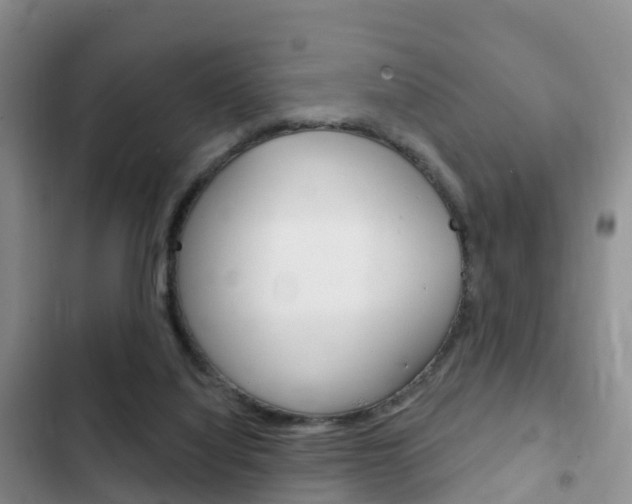 X0000102770068200808181004
