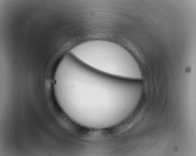 X0000102770072200808181004