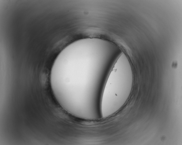 X0000102770073200808181004