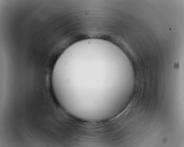 X0000102770074200808181004