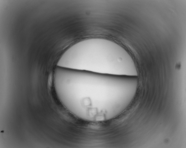 X0000102770076200808181004