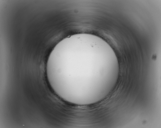 X0000102770077200808181004