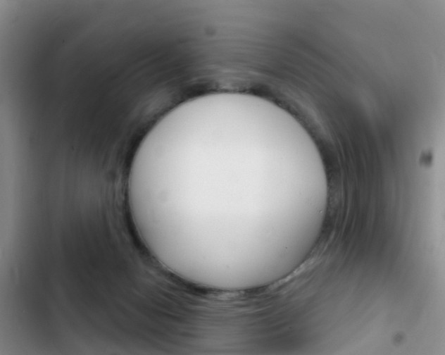 X0000102770078200808181004