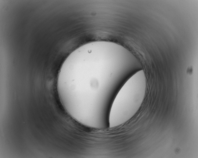 X0000102770079200808181004