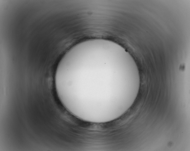 X0000102770080200808181004