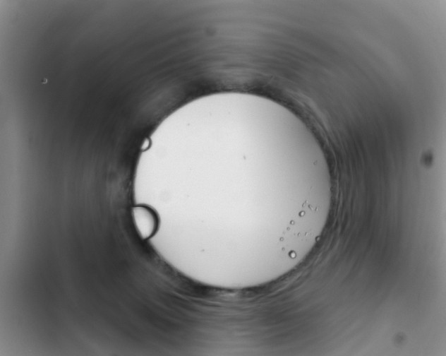 X0000102770083200808181004