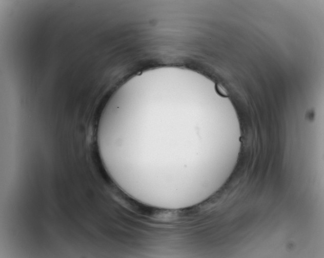 X0000102770084200808181004