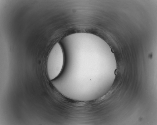 X0000102770086200808181004
