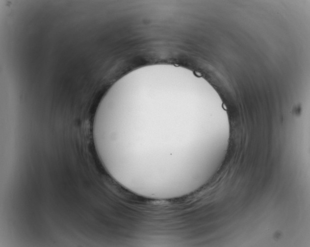X0000102770087200808181004