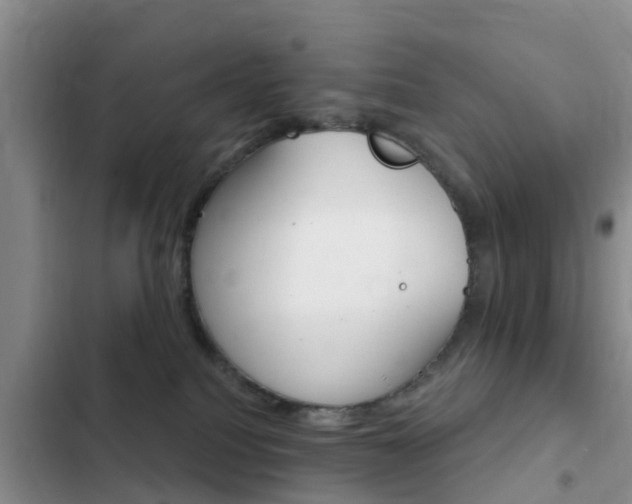 X0000102770088200808181004