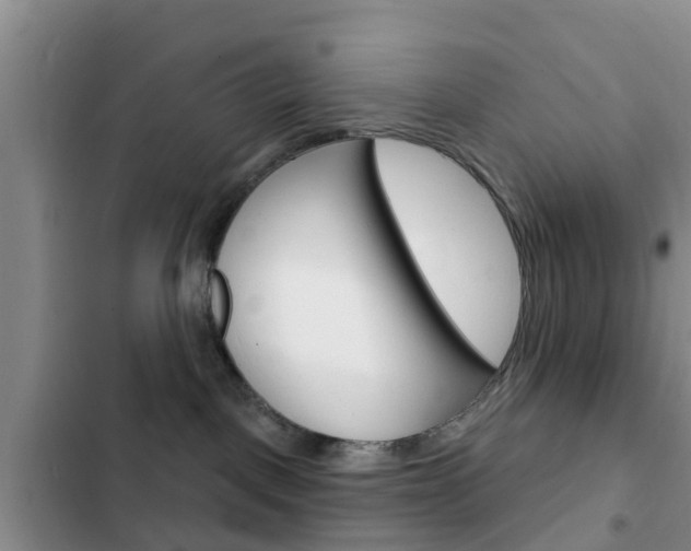 X0000102770093200808181005