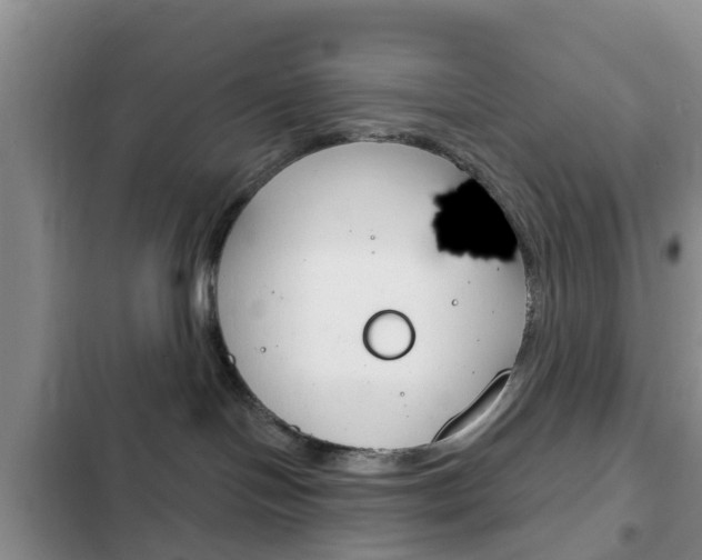 X0000102770094200808181005