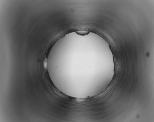 X0000102770095200808181005