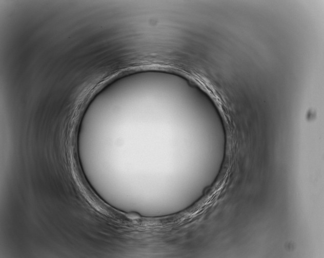 X0000102770097200808181004