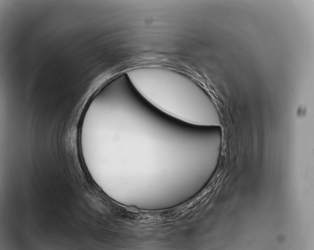 X0000102770099200808181004