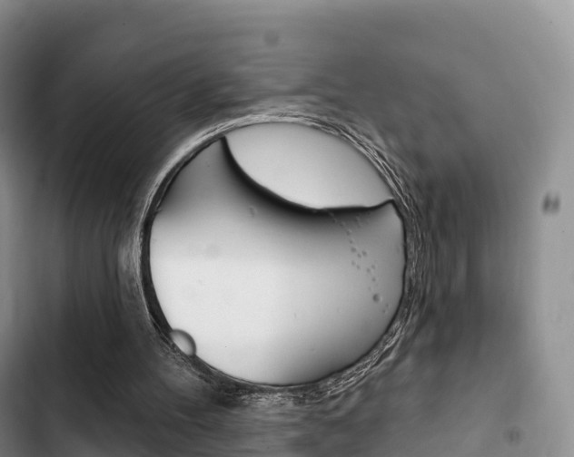 X0000102770100200808181004