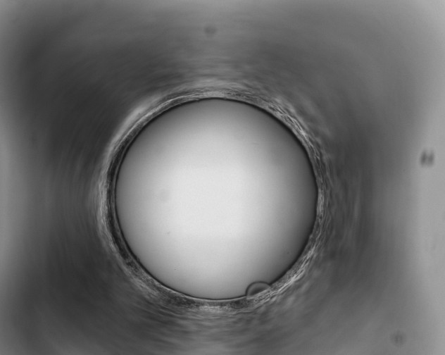 X0000102770101200808181004