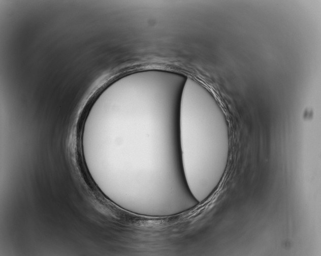 X0000102770102200808181004