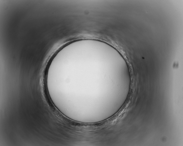 X0000102770103200808181004