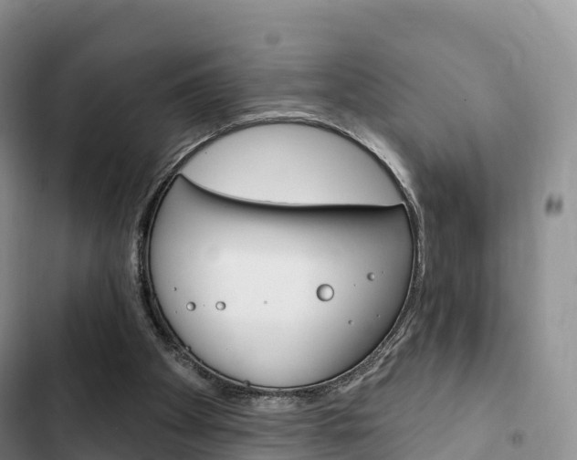 X0000102770105200808181004