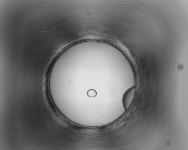X0000102770106200808181004