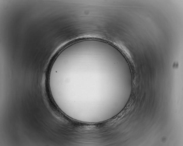 X0000102770108200808181004