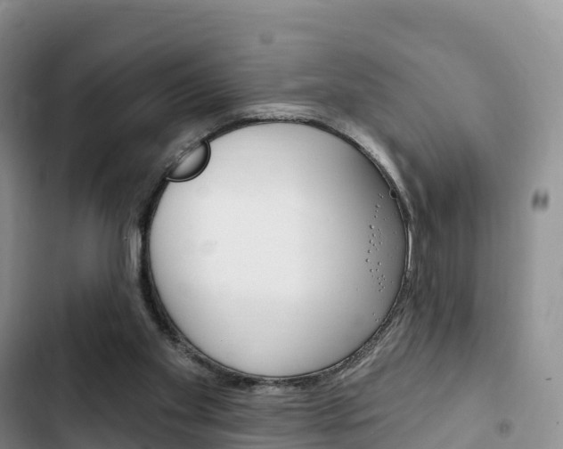 X0000102770109200808181004