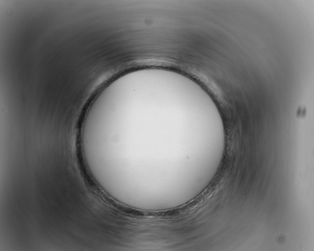 X0000102770111200808181004
