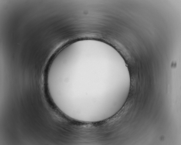 X0000102770112200808181004