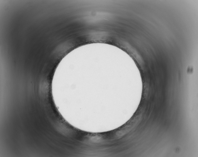 X0000102770113200808181004