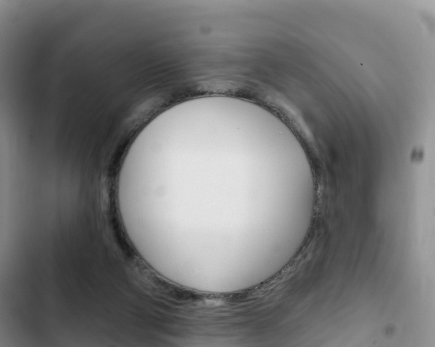 X0000102770114200808181004