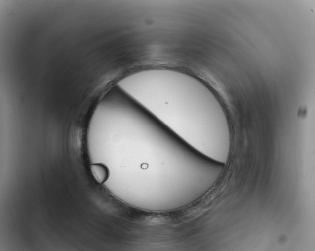 X0000102770115200808181004