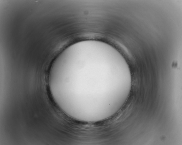 X0000102770119200808181004