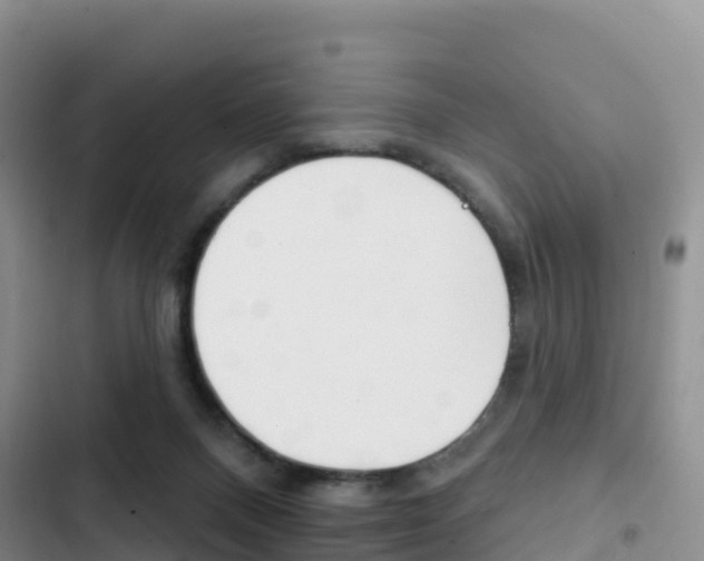 X0000102770120200808181004