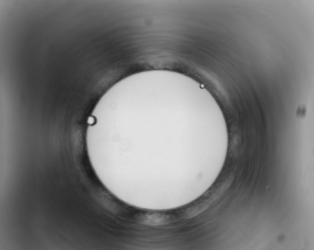 X0000102770121200808181004