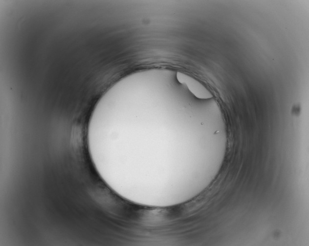 X0000102770122200808181004
