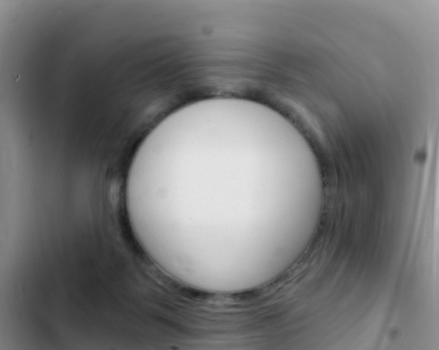 X0000102770123200808181004