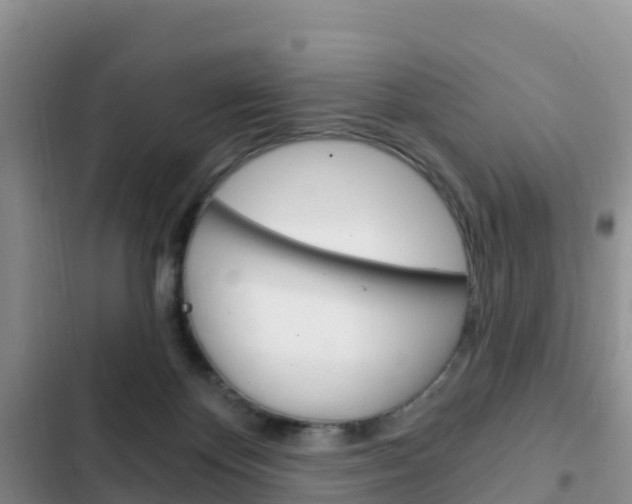 X0000102770124200808181004