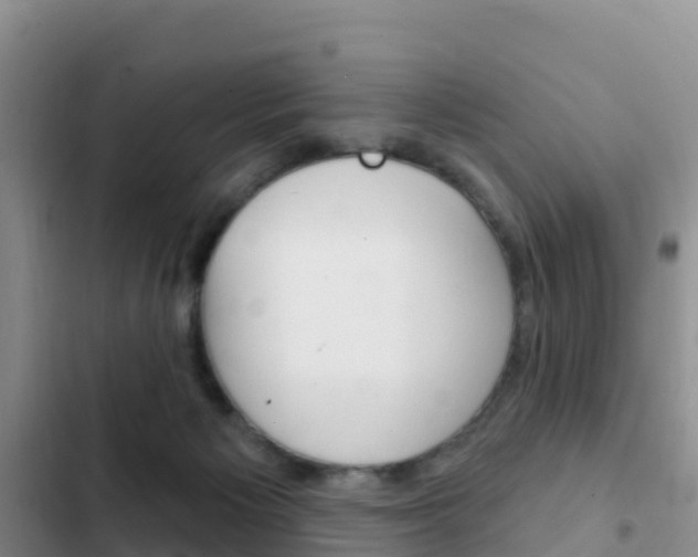 X0000102770125200808181004