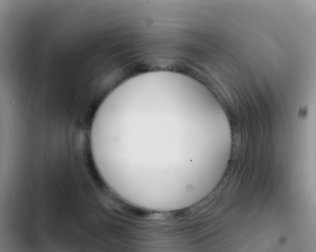 X0000102770126200808181004