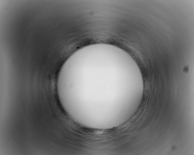 X0000102770130200808181003