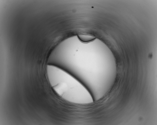 X0000102770131200808181003