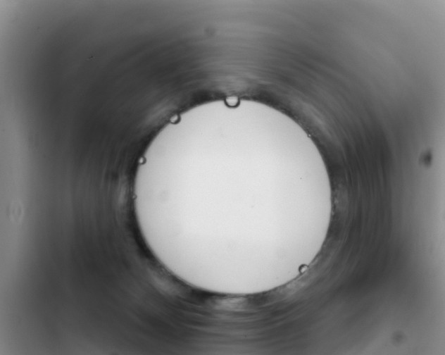 X0000102770132200808181003