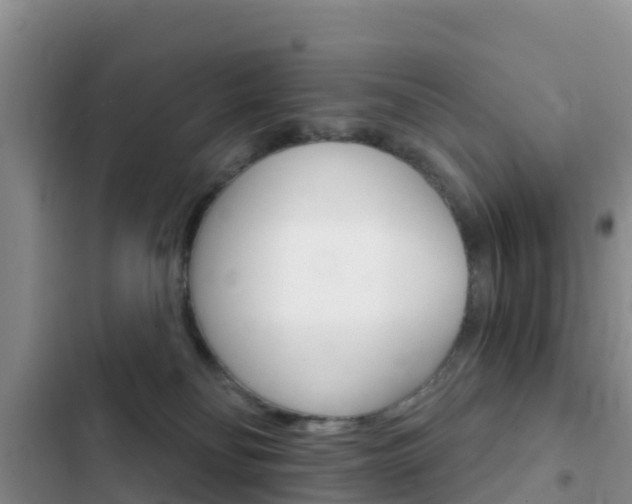 X0000102770134200808181003