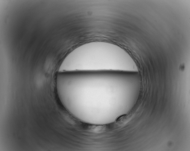 X0000102770135200808181003