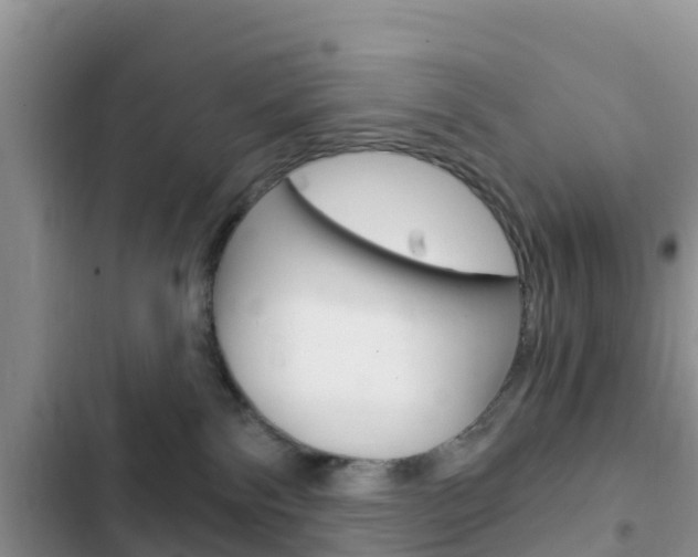 X0000102770138200808181003